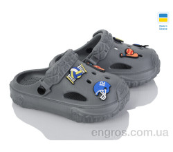 Кроксы Golden Lion